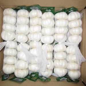 Top Quality Jinxiang Garlic with Most Favorable Price