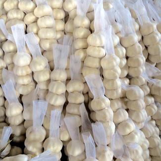 Prezzo di fabbrica dell'aglio fresco bianco puro da 5,5 cm