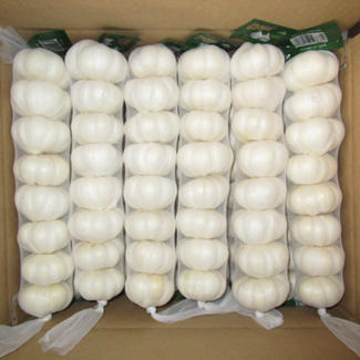 Exportatori de usturoi din China Cutie de carton 10kg usturoi alb pur chinezesc 8p