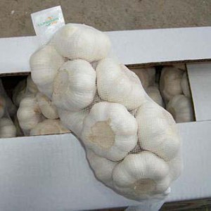 Top Quality Jin Xiang Garlic with Lowest Cost Price