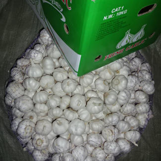 Nouveau fournisseur d'usine de culture ail blanc pur frais chinois par emballage en carton
