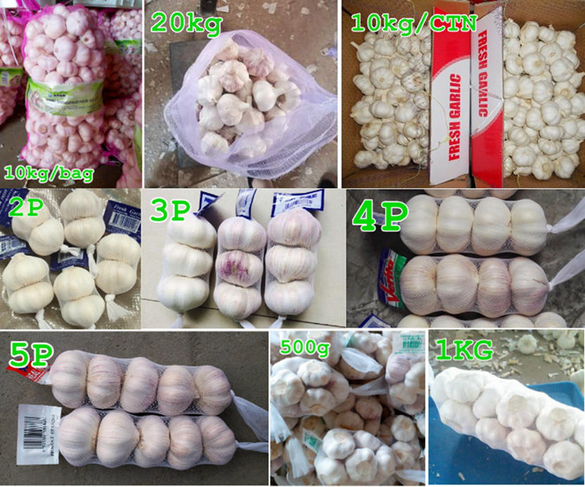 garlic-packing-mesh bag-10kg-20kg-3p-4p-5p-1kg-830