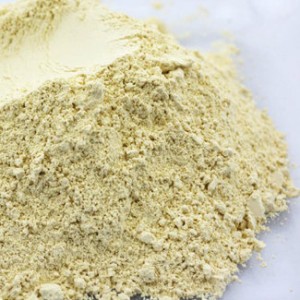 Dehydrated Garlic Flake Granules Powder 100-120mesh Manufacturers