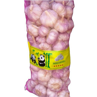 harga bawang putih hari ini