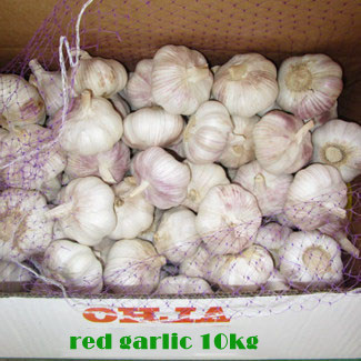 Knoblauch Großhandel aus China 10kg Karton