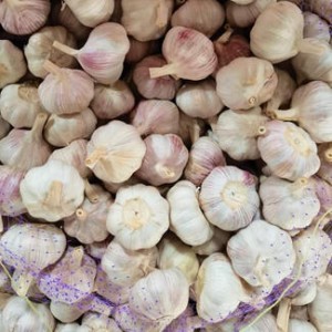 Fresh Garlic Online Whole Softneck Garlic Wholesale Supplier From China