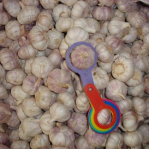 Garlic 5cm 5.5cm 6.0cm 10kg/Carton