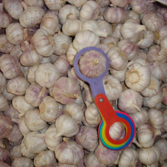 Bawang Putih 5cm 5.5cm 6.0cm 10kg/Karton