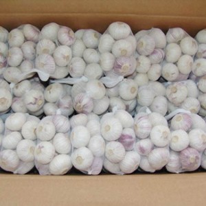 500g X 20/Carton Fresh Garlic From China
