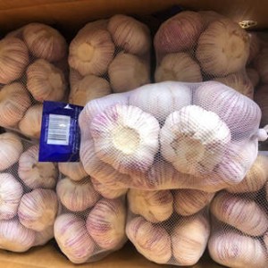 wholesale garlic price per pound