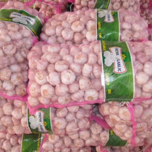 High Quality Ajo Garlic 20 Kilos Bag Rojo De Ajo 2023