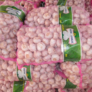 Högkvalitativ Ajo Garlic 20 Kilos Bag Rojo De Ajo 2023