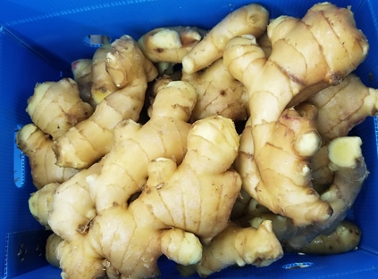 Global ginger trade continues to grow, and Chinese ginger plays a major role