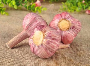 2023 Fresh Garlic Suppliers and Garlic Market Research Global and Chinese Garlic Production and Marketing Analysis