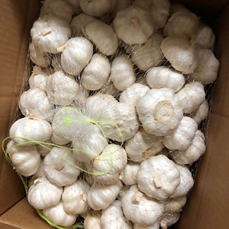 Lös kartongförpackning Färsk vitlök