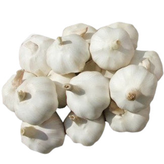 Bright Sunshine Fresh Normal and Pure White Garlic