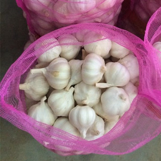 new crop china garlic in 10kg loose mesh bag