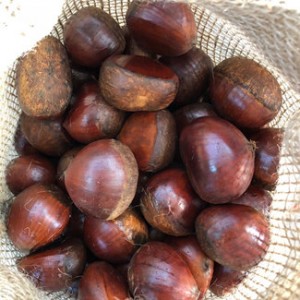Low Price Fresh Organic Chestnut 5kg Jute Bag