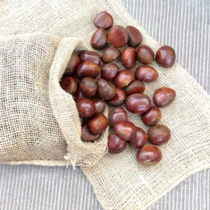 Chinese Fresh Chestnut Organic New Crop Supplier