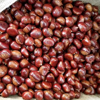 Freshly Washed Chestnuts 30-40 Pieces/Kg