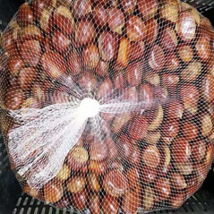 China Organic Fresh Chestnut 55lbs/Canada Plastic Basket to USA