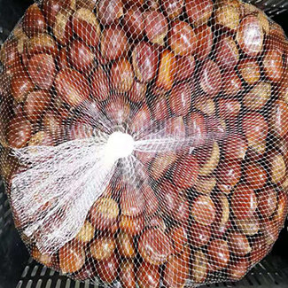 Kina Organic Fresh Chestnut 55lbs/Kanada plastkorg till USA