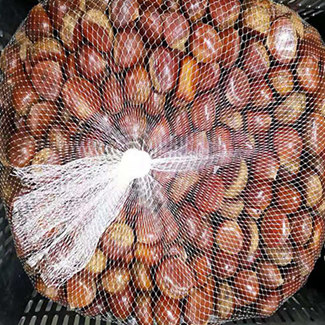 Cesto di plastica di castagne fresche biologiche dalla Cina da 55 libbre / Canada negli Stati Uniti