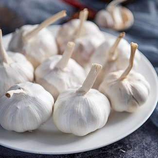 New Crop Chinese Fresh Vegetables Garlic for Ecuador