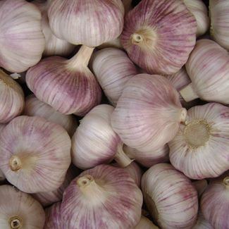 China 4.5cm 5cm 5.5cm up normal white garlic