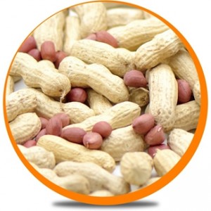 Peanut Inshell, Red Skin Peanut Kernels, Roasted Spicy Peanuts