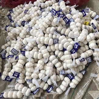 Pure White Garlic 200g x 50bags/carton