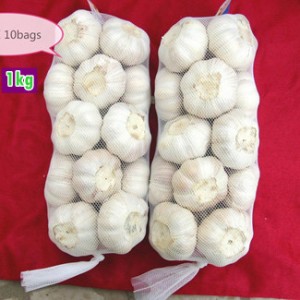 Purple Garlic Wholesale