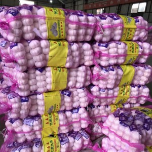 quotation for white garlic size 5.0 cm up in mesh bags