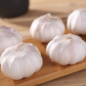 Selected Quality Normal White Garlic Red Garlic (5.0 – 5.5 – 6.0 CM)