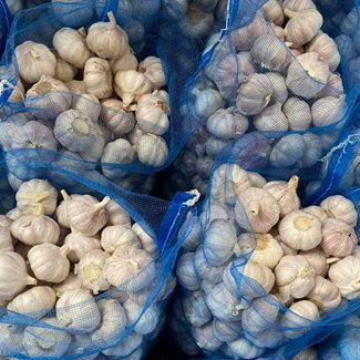 Shandong färsk vitlök med lågt pris för grossisthandel