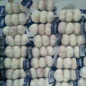 Small Package Factory Directly Fresh Jinxiang Garlic South America Market
