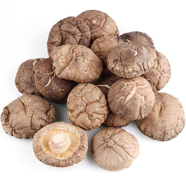 Best quality dired shiitake mushroom from nanyang