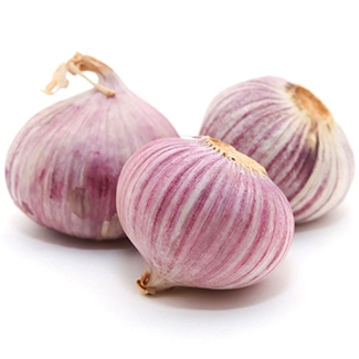 Fresh Single Solo Garlic