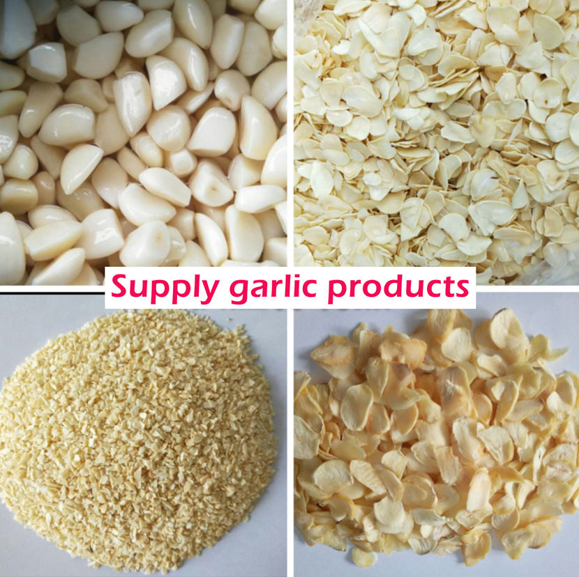 supply-garlic-products_oo1