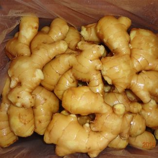 High quality fresh ginger with best price
