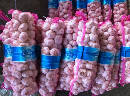 Five containers of 6.0 cm pure white 4 kg packed garlic were sent from Qingdao port to Dubai today