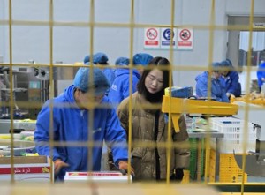 《High-quality Sweet Corn: Advantages Create an Excellent Choice》