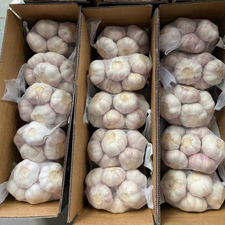 white garlic suppliers from china
