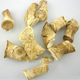 Mushroom stem